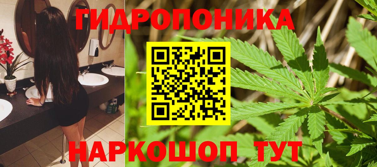 Бошки Шишки марихуана  Вход с VPN  Тимашёвск  Бошки марихуана VHQ  Марихуана MAZAR 